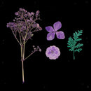11x Unfinished Wood Pieces Decor Dried Flowers Bookmark Board Card