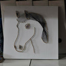 Animal Horse String Art kit for Teens Students Learn to Make Winding Nail