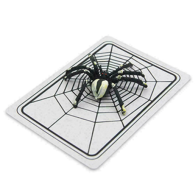 Spider  Close-Up Pocket Street Halloween Tricky X7I5 P8A2
