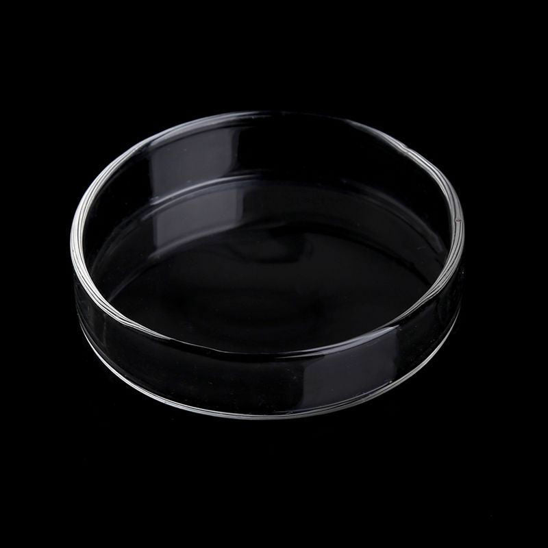 Tray Container Acrylic. Aquarium Fish Tank Clear Shrimp Feeding Food Dish Feeder