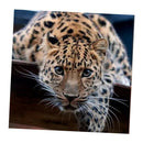 DIY Animal Lepoard Craft 5D Diamond Painting Embroidery Cross Stitch Kits