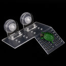 aquarium dock reptile turtle pier basking small terrace island platform BSES