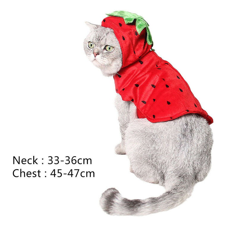 Kitty Cat Halloween Outfit Strawberry Costume Funny