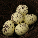 Pack of 5pcs Artificial Speckled Bird Eggs for Crafting,Favors,Embellishing
