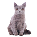 1pc 50cm Simulation Plush Cat Pillows Soft Stuffed Animals Cushion Sofa Dec Q5V9