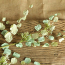 Natural Dried Flowers Artificial Flower Dried Eucalyptus Leaf Home decoratio Hn