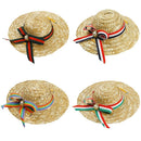 Mini Pet Dogs Sombrero Sun Hat Beach Party Straw Hats Dogs fashion Style Ha T1R2