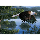 5D DIY Full Drill Diamond Painting Eagle Cross Stitch Embroidery (C1184)