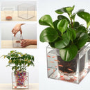 5inch Transparent Self Watering Pot Deck Planter Flowerpot Home Fish Tank A