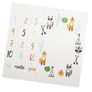 Fashion Toddler Newborn Baby Blanket Growth Photography Photo Props