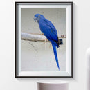 5D DIY Full Drill Diamond Painting Bird Embroidery Mosaic Craft Kits Decor