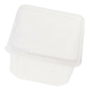 Plastic Insect Spider Habitat Feeding Box