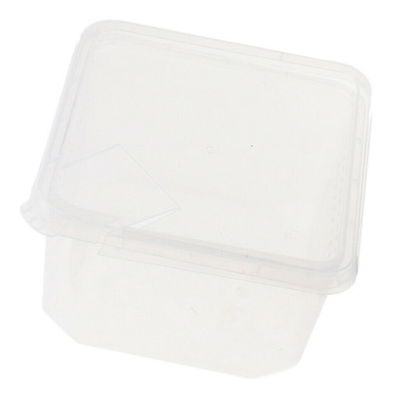 Plastic Insect Spider Habitat Feeding Box