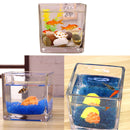 Tabletop Square Aquarium Fish Glass Vase Tank Plant Home Decoration 10x10x10cm