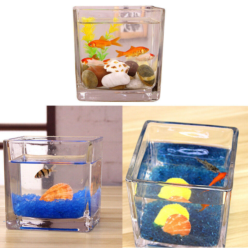 Tabletop Square Aquarium Fish Glass Vase Tank Plant Home Decoration 10x10x10cm