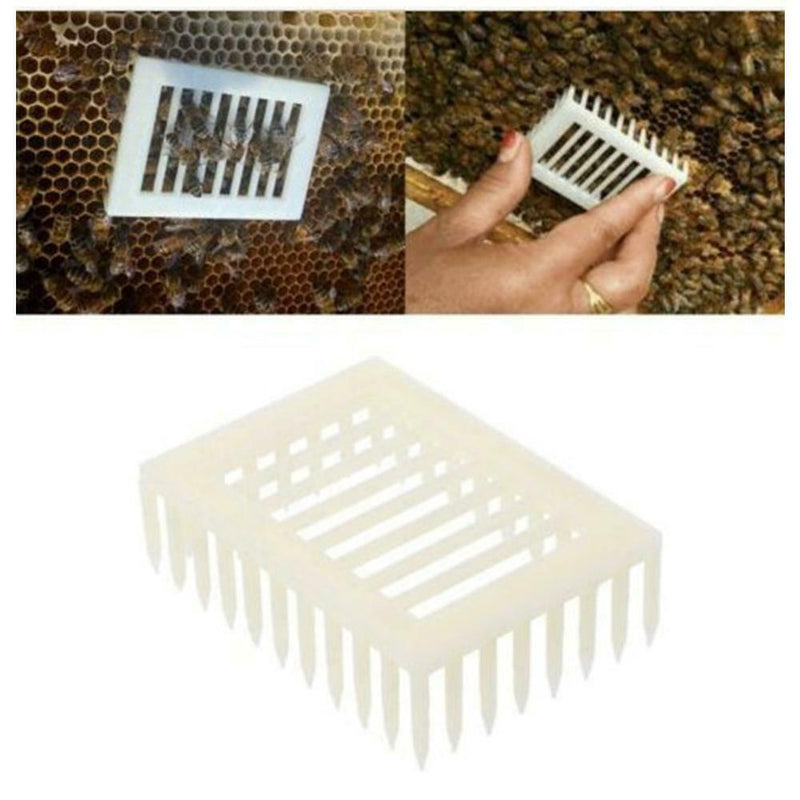 6XPlastic Queen Marker Cage Clip Bee Catcher Beekeeper Beekeeping Tool Equipment