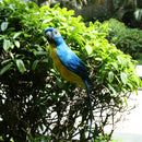 2 Pieces Feathered Macaw Parrot Artificial Foam Bird for Home Garden Tree Bonsai