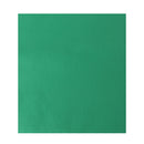 Photo Backgrounds Studio Photography Screen Backdrop Cloth(1.6 x 2m)