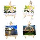 10Pcs Mini Wooden Artist Easel-e Wedding Table Stand Display Holder - 15 X  S8I8