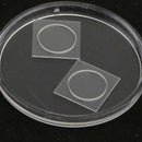 2xTempered Glass Camera Lens Film for Smartisan  Clear Smartisan U2 Pro 2