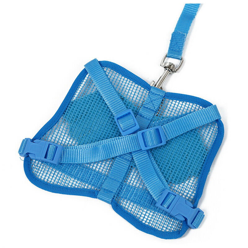Blue Adjustable Angle Wing Rabbit Ferret Pig Harness Leash Lead Strap Nylon