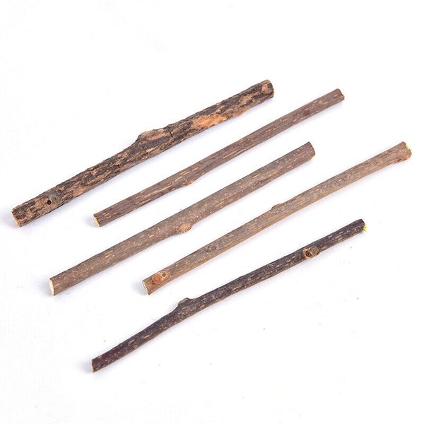 5PCS Cat cleaning teeth silvervine actinidia cat snacks sticks tooth OZ