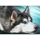 5D Diamond Painting Full Drill Dog Head DIY Cross Stitch Pictures (WB032)