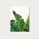 Tropical Palm Leaf Print Banana Leafs Wall Art Painting Picture on Canvas S