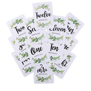 12x 1-12 Baby Monthly Stickers Pregnant Women Milestone Memory Photo Prop