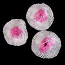 Gluehstrumpf for gas lantern, 10 pcs / pack P8G9