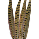 Touch of Nature Ringneck Pheasant Feathers 4/Pcs, Natural Y4H9