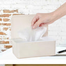 Tissue Storage Box with Cover Wet Wipes Holder Dustproof for Home Offices