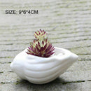 6pcs/set Mini White Small Flowerpot shell Shape Ceramic Succulent Plant Pot