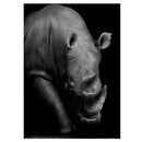 Rhinoceros 5D Animal Diamond Embroidery Full Square/Round Drill Diy Diamond