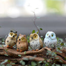 4 Pcs Garden Owl Moss Terrarium Desktop Decors Craft Bonsai Animals MiniatureMOA