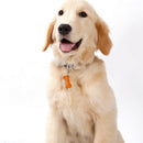 Premium Bone Shaped Pet Aluminum ID Tags Keychain - Dogs Cats Necklace Collar