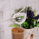 3x Glass Birds & Snail & Mushroom Shape Watering Device for Flowserpot