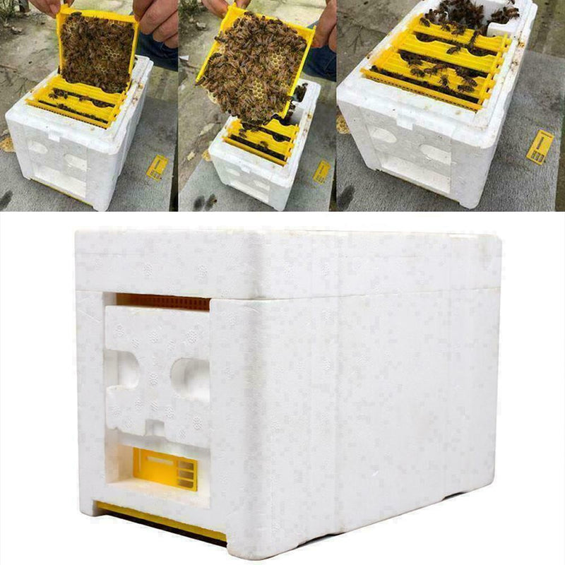 Hive Beekeeping King Box Pollination Box Beekeeping Tool Harvest Solid HOT T1V4
