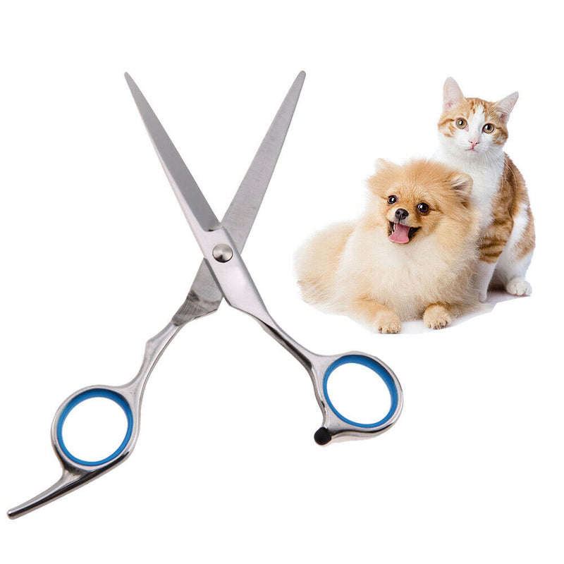 Professional Pet Dog Stainless Steel Grooming Hair Scissor Straight Scissor