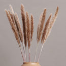 15Pcs Natural Dried Pampas Grass Reed Flower Bunch Wedding Bouquet Decors
