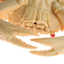 Artificial Lifelike , Decoration For Kitchen Fishing Accessories