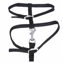 Leash collar + ADJUSTABLE NYLON HARNESS FOR CAT KITTEN Length 1.2m - Black