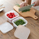 Green Onion Crisper Kitchen Ginger Garlic Storage Box Refrigerator Fruit PorN2C1