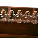 Empty Tiny Mini Clear Message Glass Bottles Vials With Cork x AU 22 28mm Q7 V1Q7