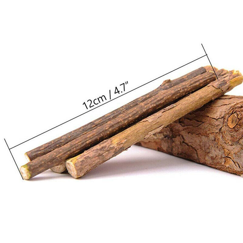 Cat Catnip Sticks Natural Matatabi Silvervine Sticks - Cleaning Teeth Molar S8Q6