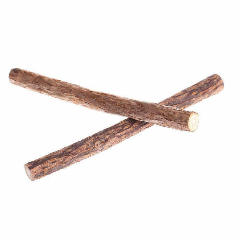 Pet Cat Snacks Matatabi Chew Catnip Stick Teeth Molar Tool Brush Cleaning A2L5