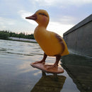6Pcs Little Duck Ducking Floating Decoy  Fishing Decoy Pools Ponds Decor