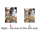 5D DIY Diamond Painting Cat Cross Stitch Embroidery Mosaic Kit Needlework