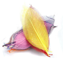 50x Mixed Natural SKELETON LEAVES SCRAPBOOK Craft Embellishment Bookmark