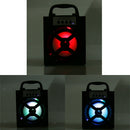 MS-134B Wireless Bluetooth Speakers Car Stereo Amplifier Radio Led Outdoor